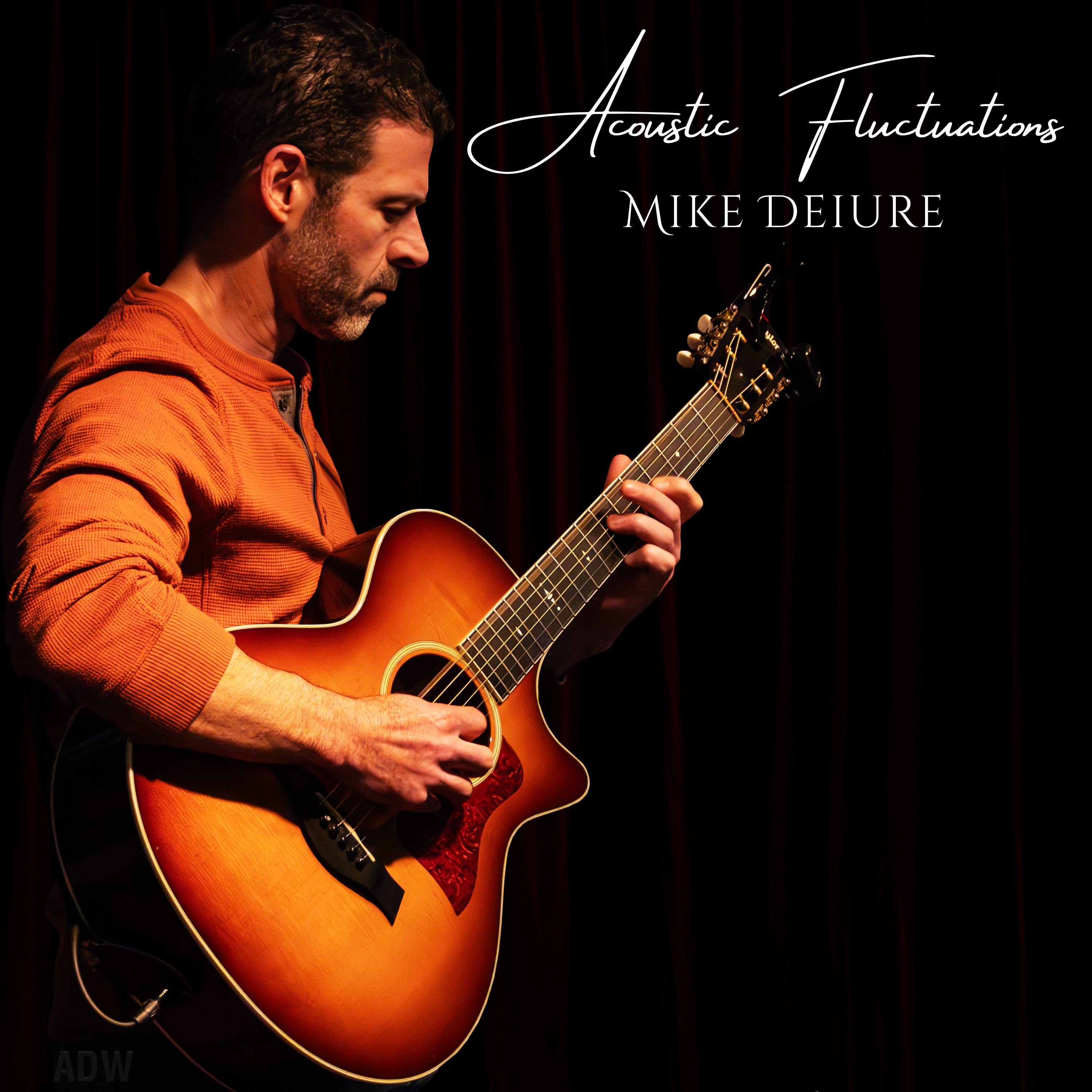 Cover art for Acoustic Fluctuations